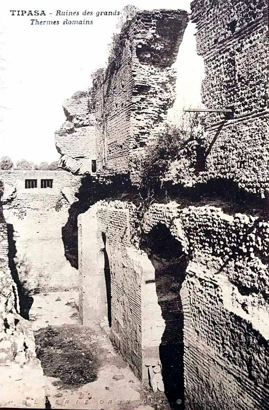 Tipasa - Ruines romaines 34.jpg